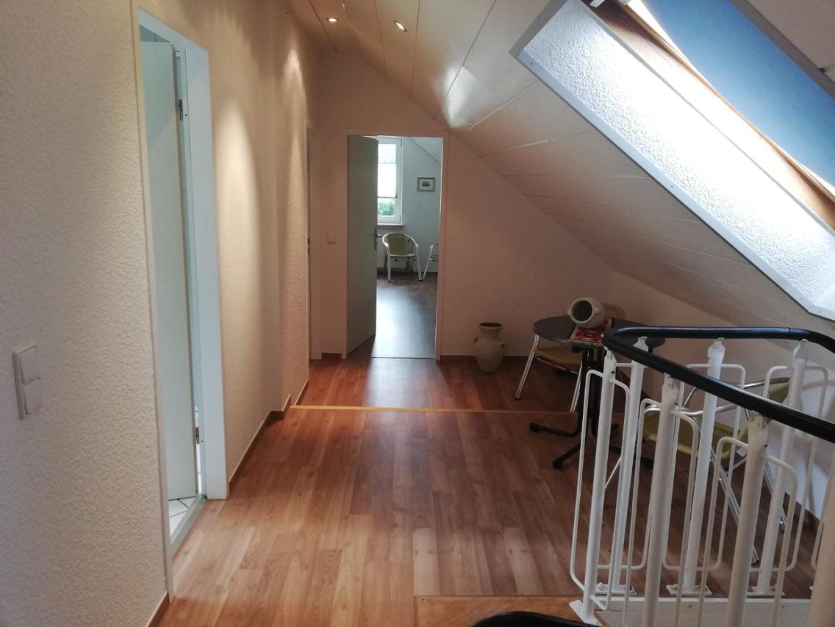 Domus Apartment